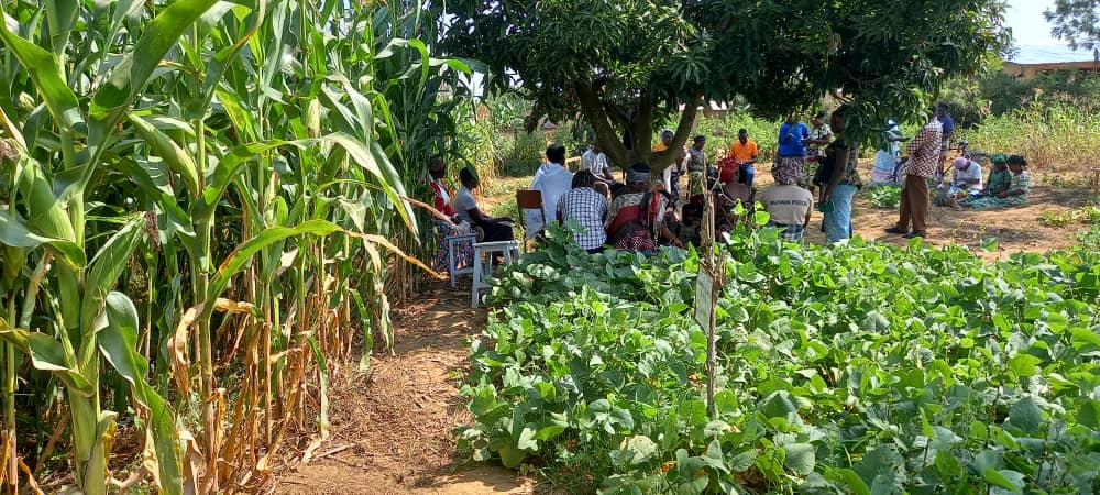 Community development